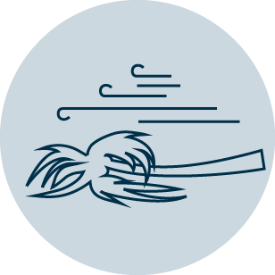 Asset 13